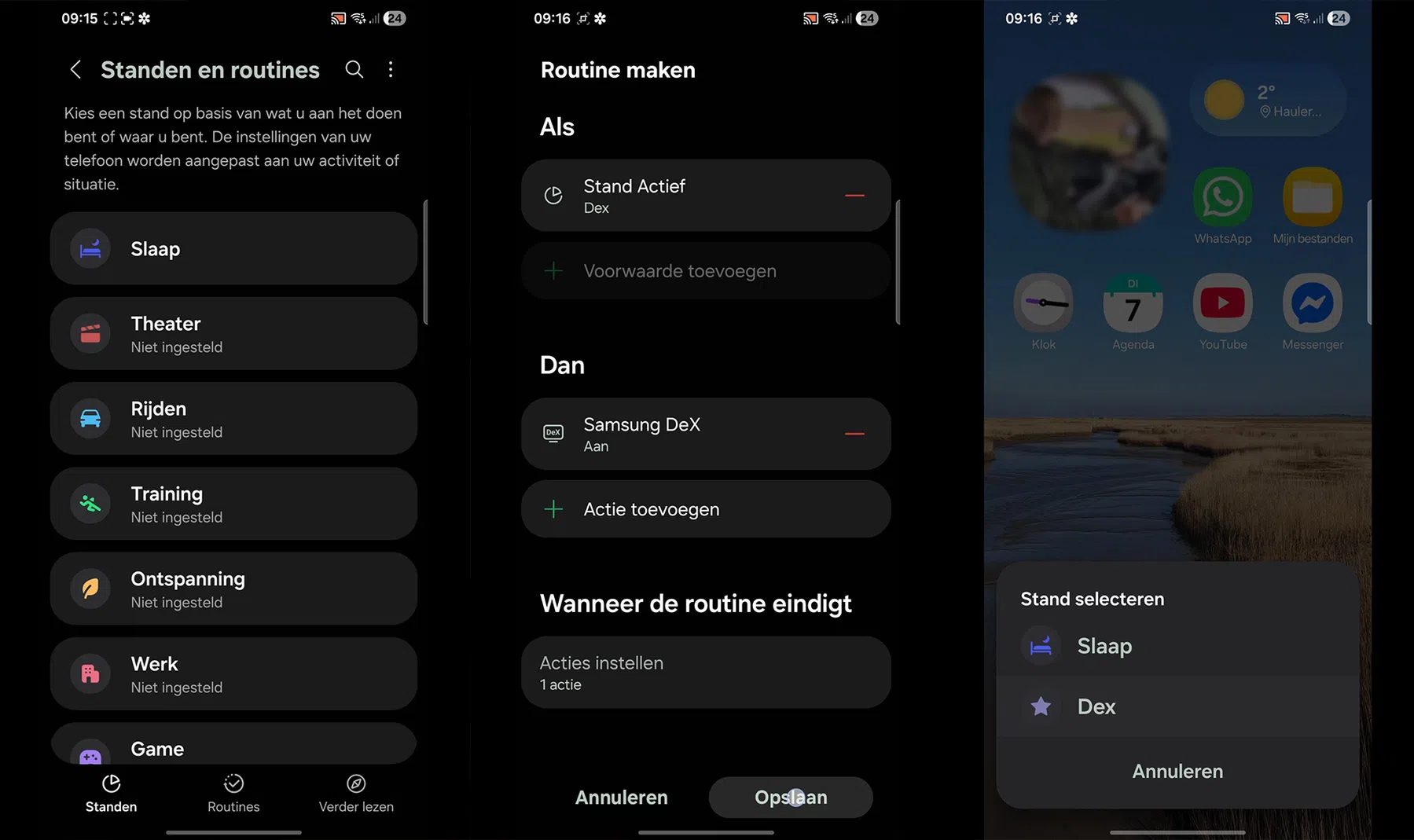 Standen en routines screenshots Samsung Dex Jerne blur